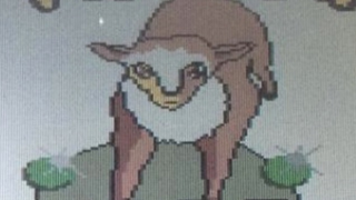 Illustration for article titled Pokémon Pearl Was a Little Different in Taiwan